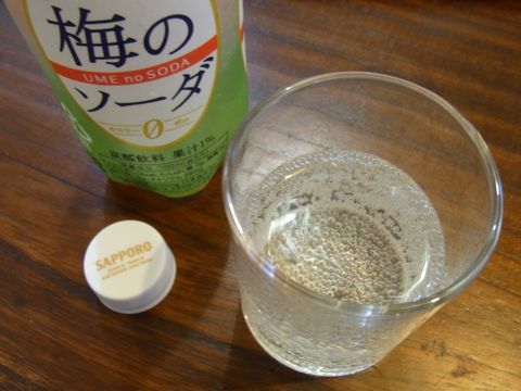 梅のソーダを飲むR0014025.JPG